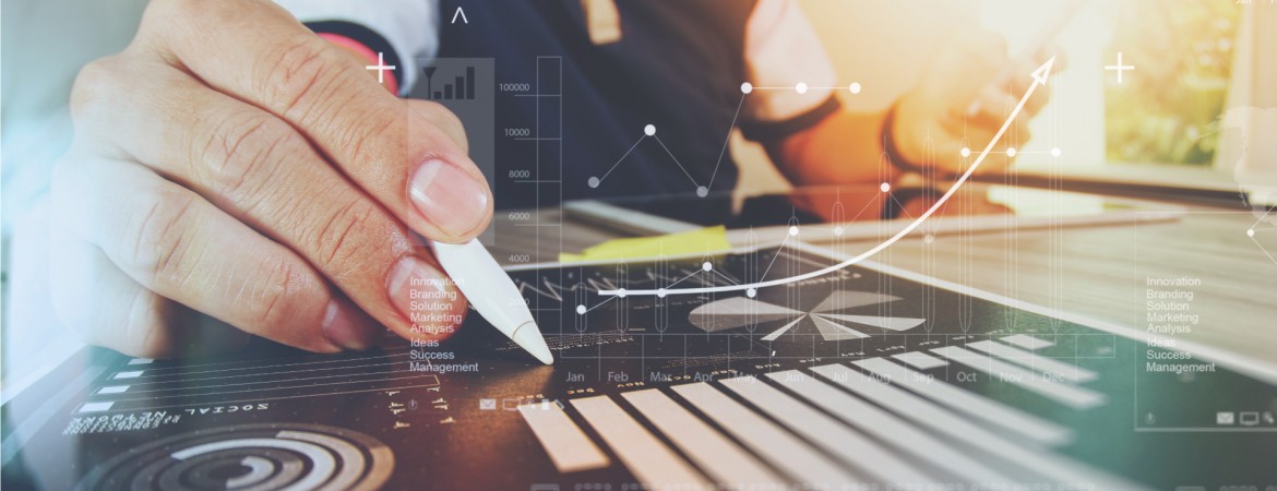 Institutional Development Services