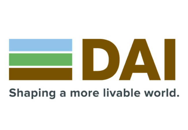 Development Alternatives Incorporated